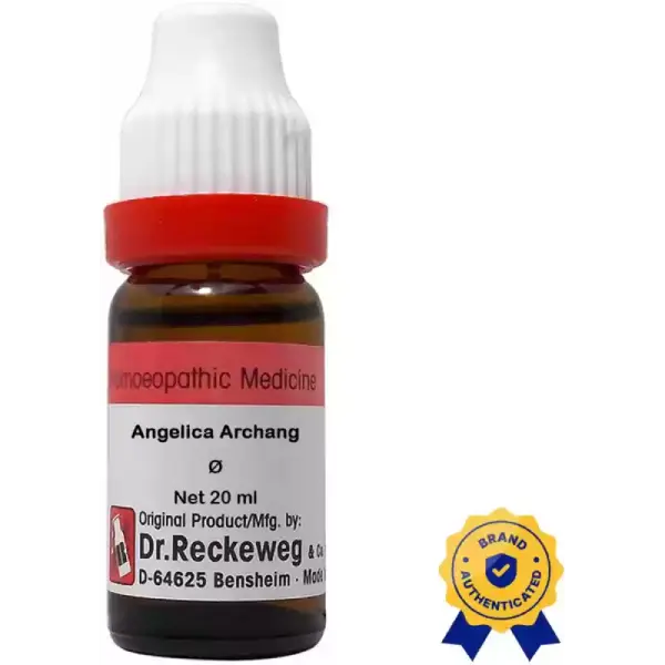 Dr. Reckeweg Angelica Archang Mother Tincture Q